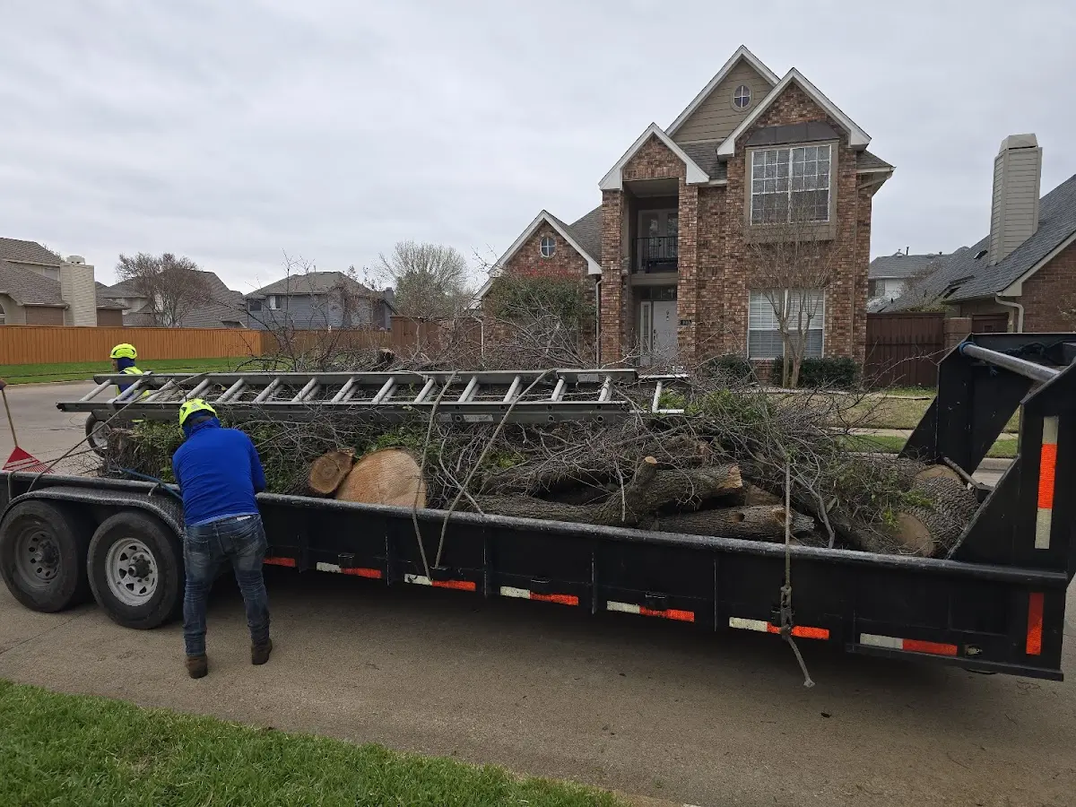 Expert Lot Clearing with proper safety equipment in Saint Helena